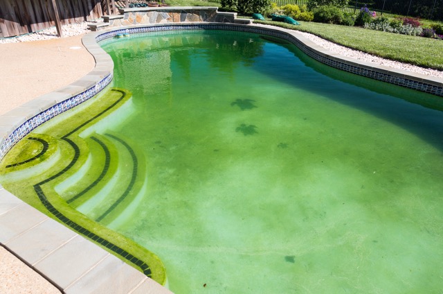 Green Pool Treatments - Good Neighbor Pool Care Green Pool Treatments - Good Neighbor Pool Care